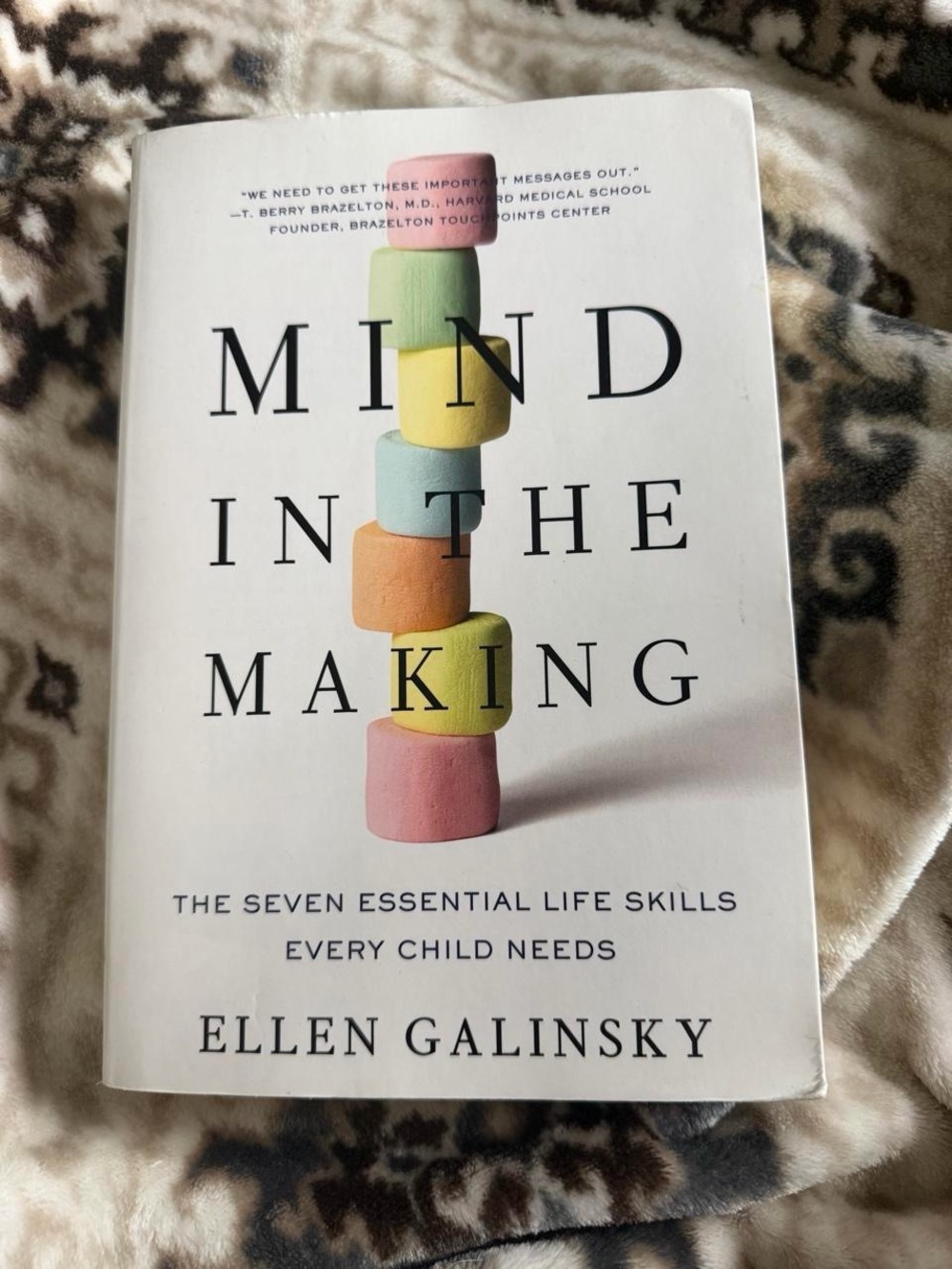 Mind in the Making (White Cover with Pastel Stack)